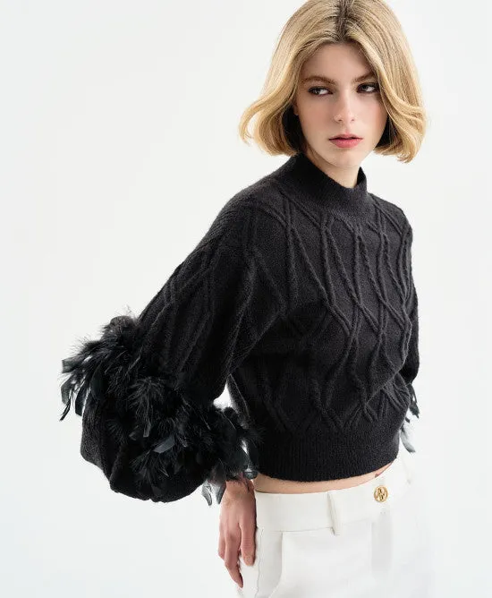 Access Fashion Knitted blouse with puffed sleeves and feathers