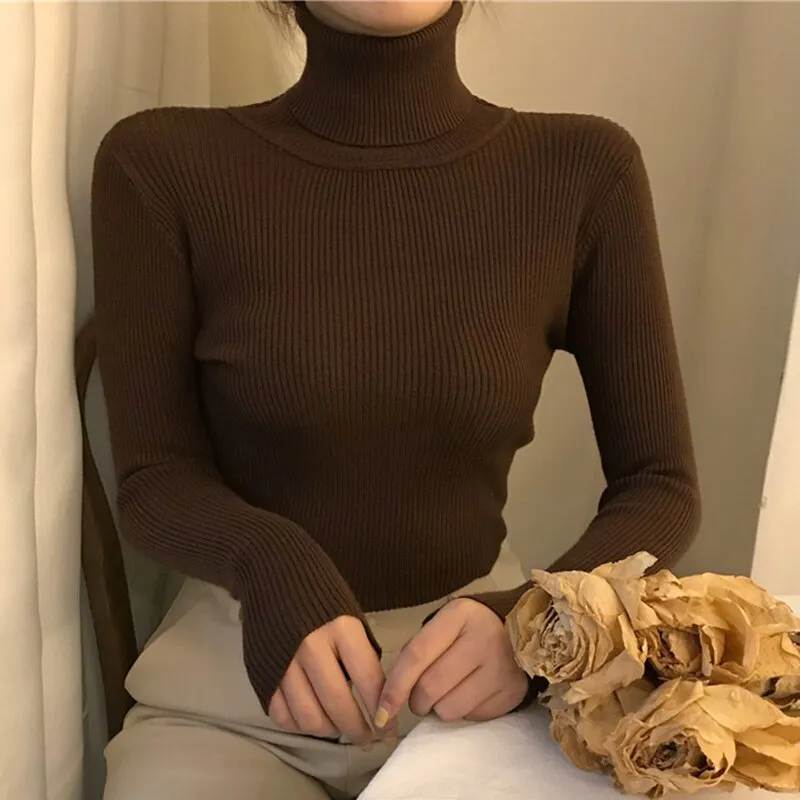 Causal Turtleneck Knitted Sweater