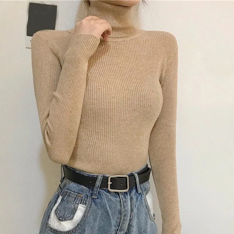 Causal Turtleneck Knitted Sweater