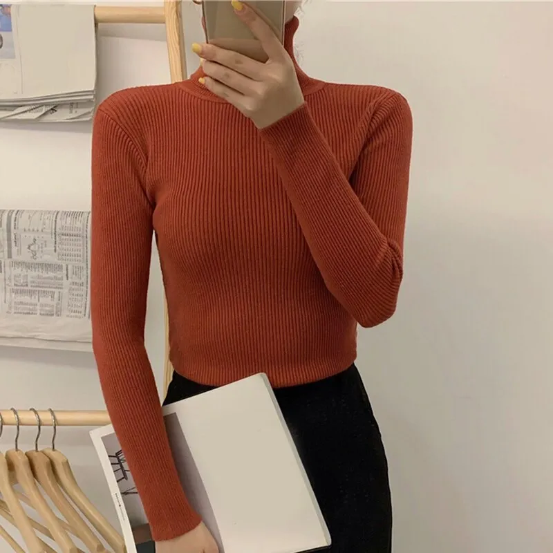 Causal Turtleneck Knitted Sweater