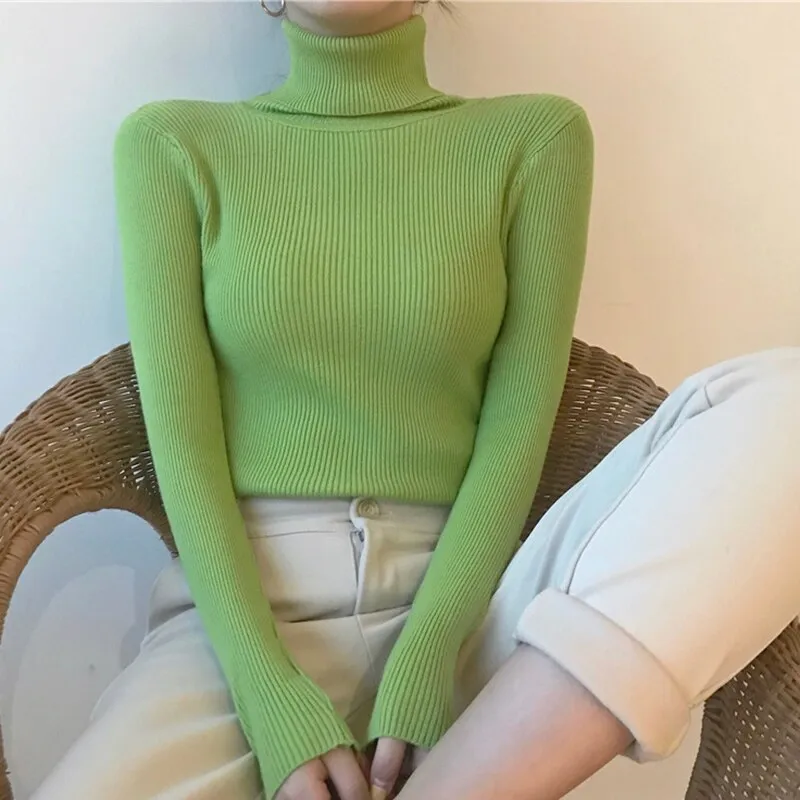 Causal Turtleneck Knitted Sweater