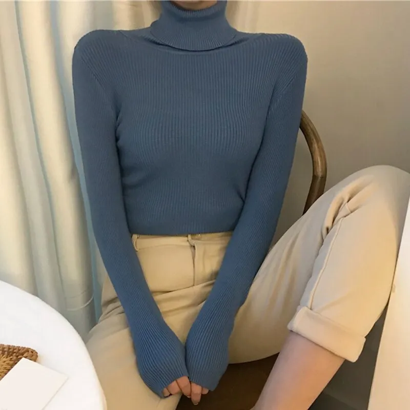 Causal Turtleneck Knitted Sweater