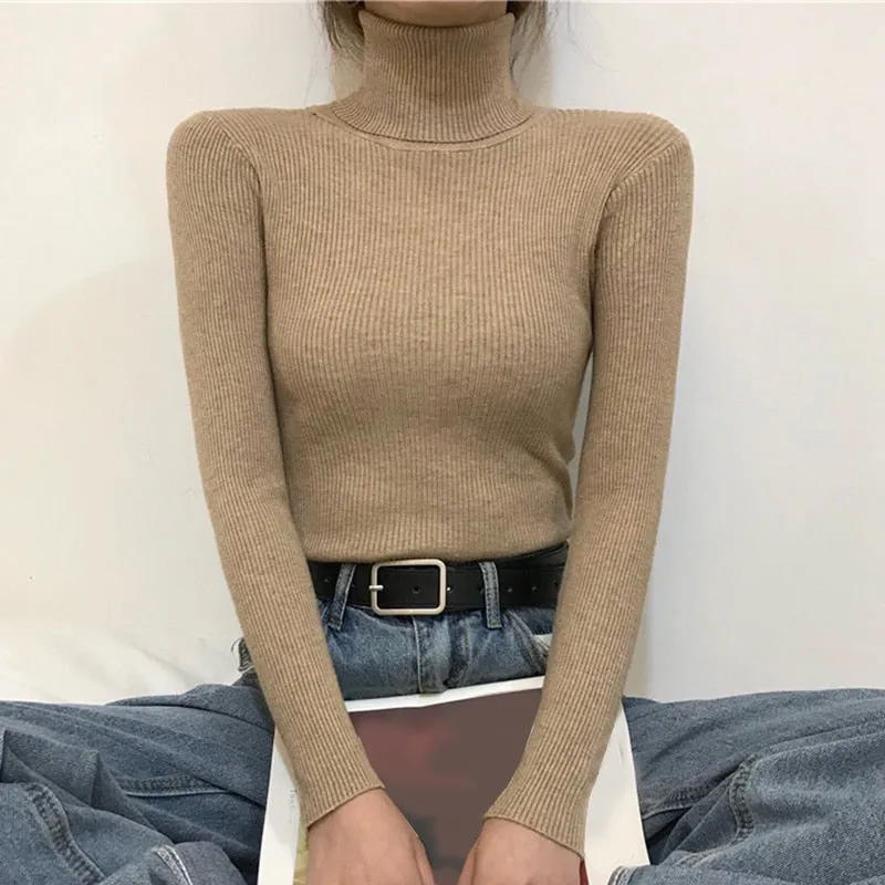 Causal Turtleneck Knitted Sweater