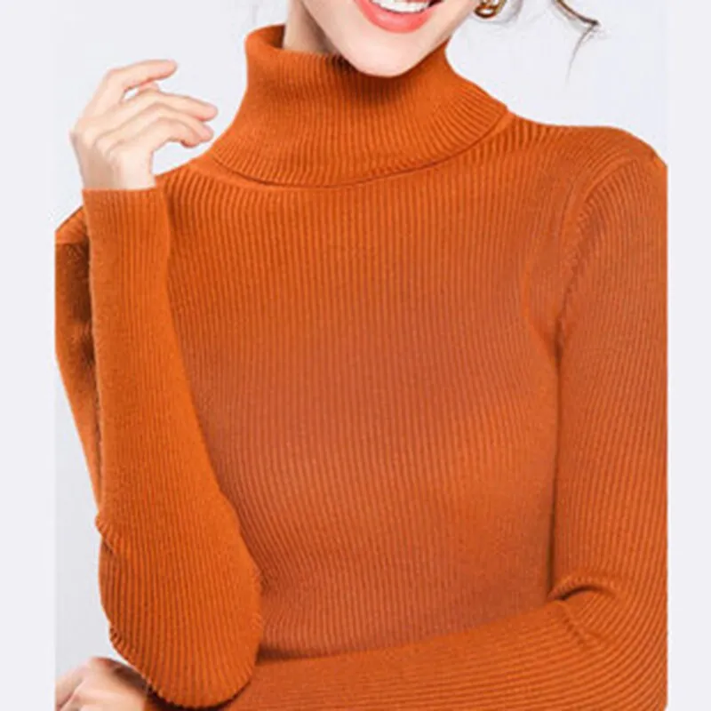 Causal Turtleneck Knitted Sweater