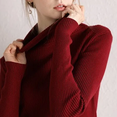 Causal Turtleneck Knitted Sweater