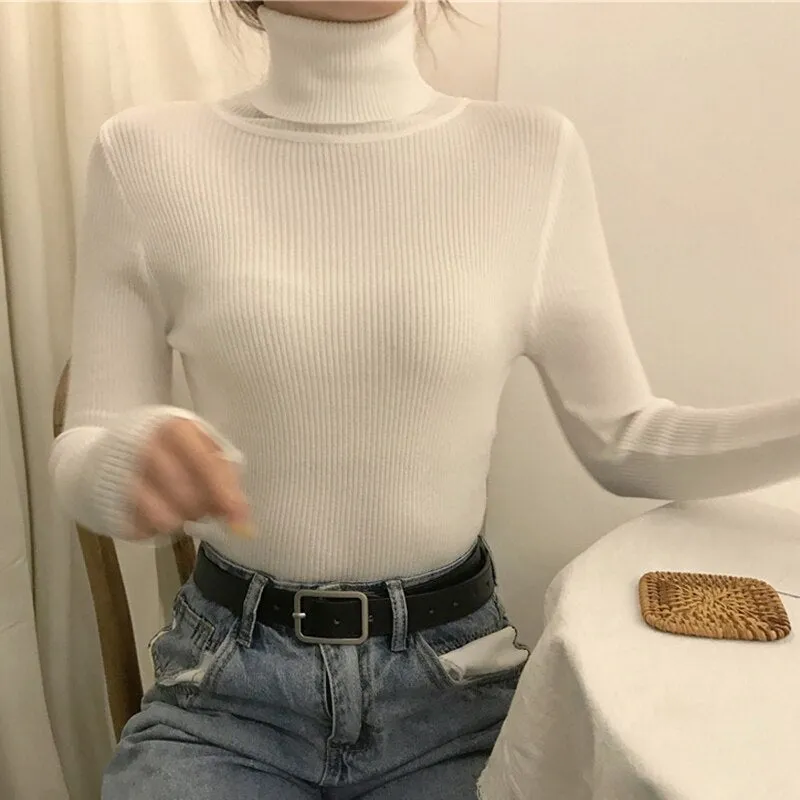 Causal Turtleneck Knitted Sweater