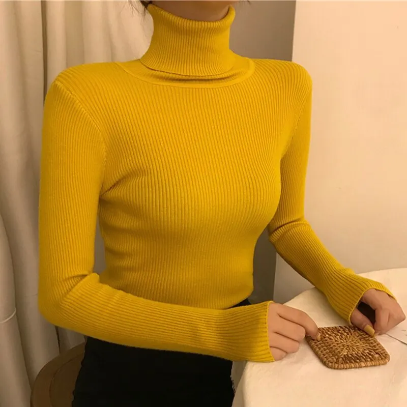 Causal Turtleneck Knitted Sweater