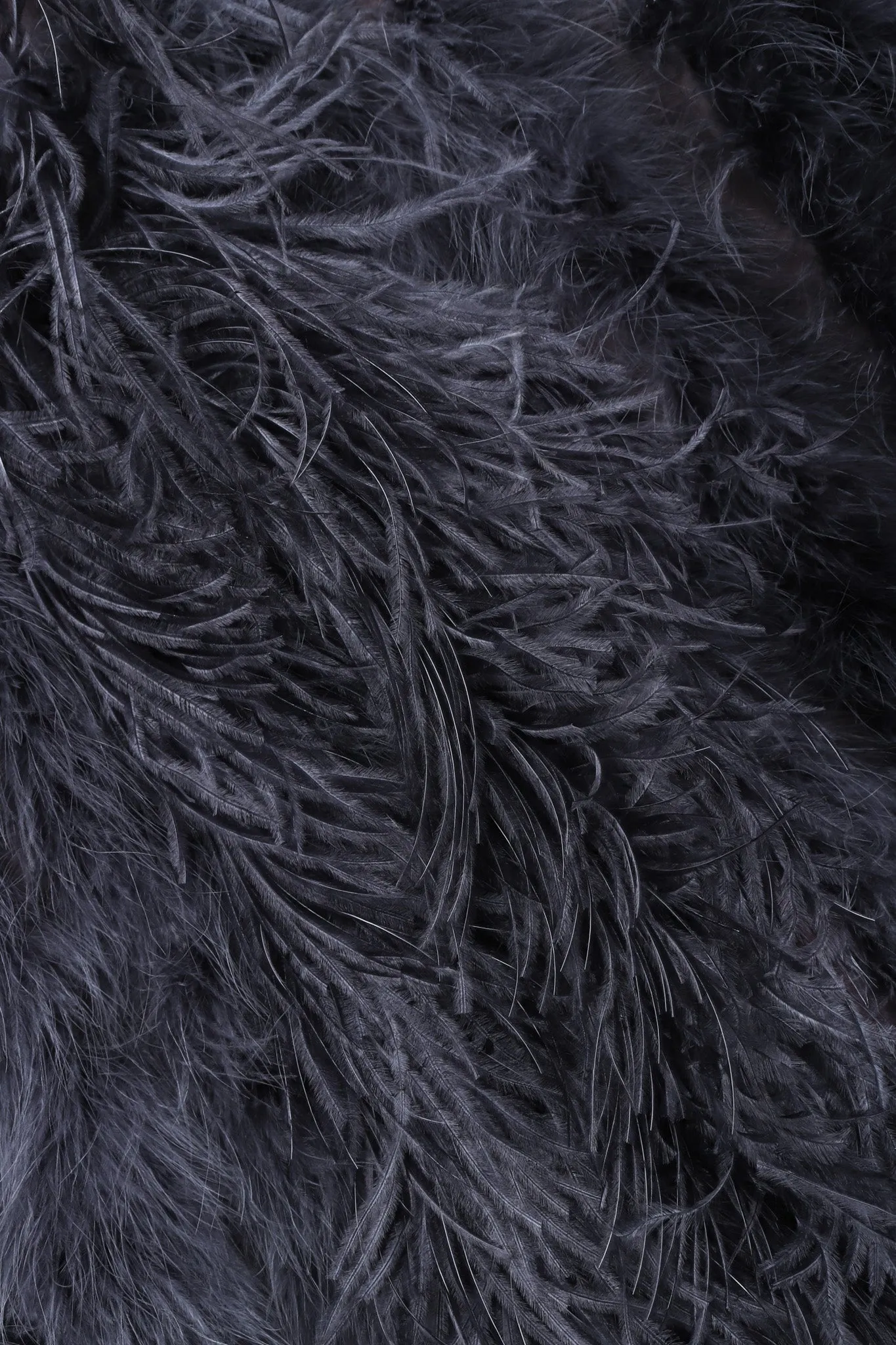 Marabou & Ostrich Feather Jacket