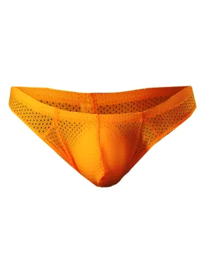 Pride Mesh Bunz Brief with Plus Pouch