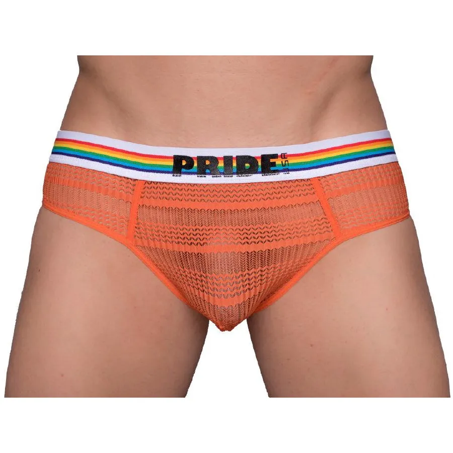 Pride Sheer Mesh Archery Brief