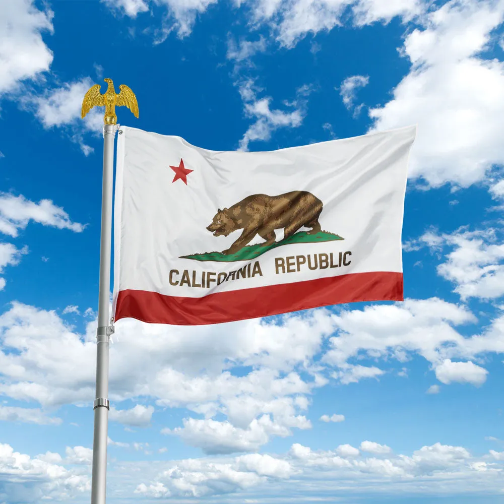 TheLAShop California Republic Flag Double Sided with Grommets 3x5 ft